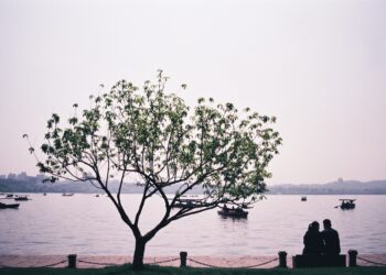 青旅里的四天三夜